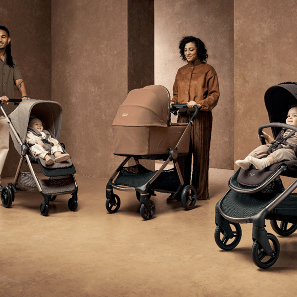 Styled to Perfection: The Timeless Edit