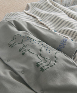 Born to Roar Sleepsuits (Pack of 3)