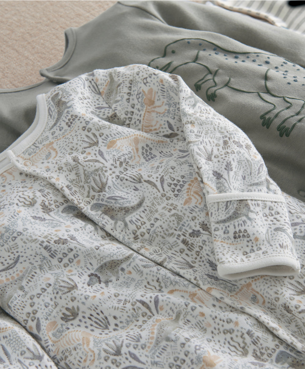 Born to Roar Sleepsuits (Pack of 3)