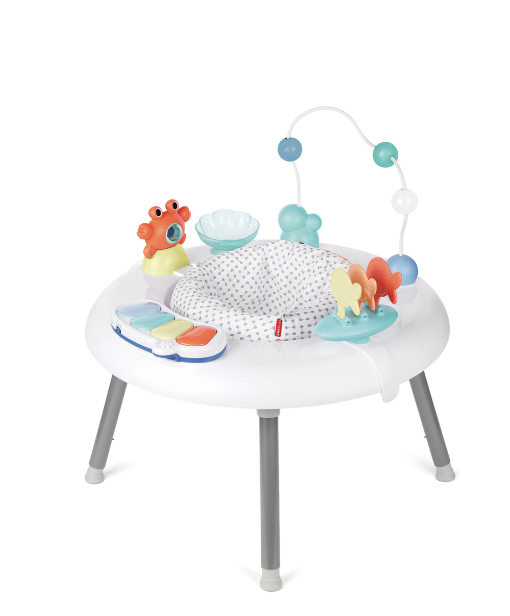 Seascape 2-in-1 Activity Center
