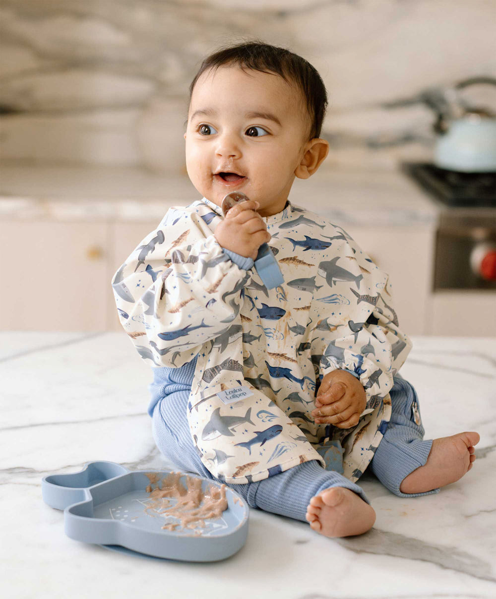 Loulou Lollipop Snack Plate - Sarah Shark