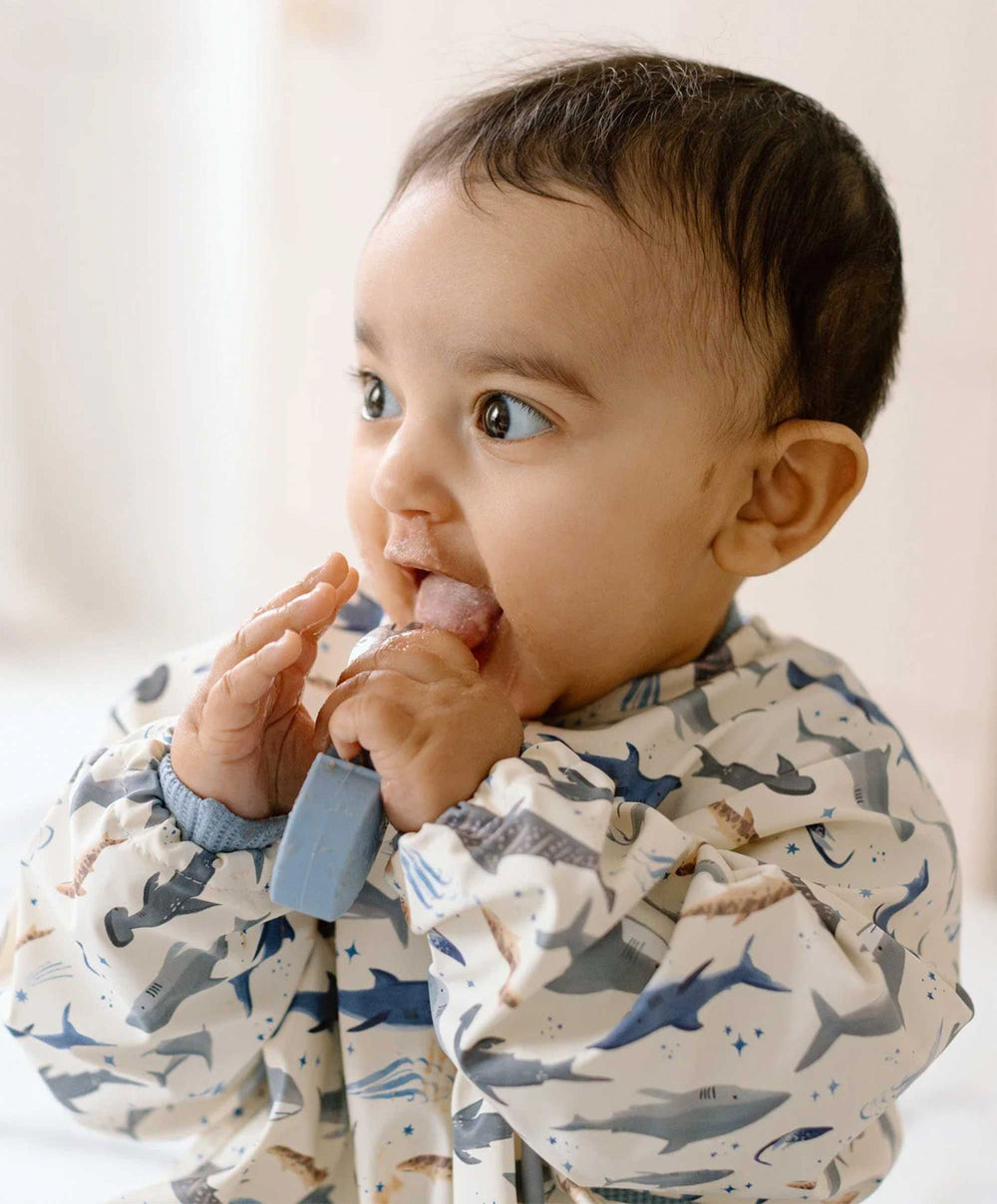 Loulou Lollipop Learning Utensils - Sarah Shark
