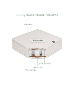 The Little Green Sheep Natural Sprung Cot Bed Mattress