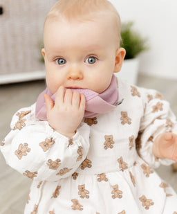 Cheeky Chompers Teethers Cheeky Chompers Neckerchew - Dusky Pink
