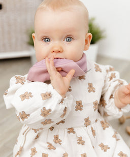 Cheeky Chompers Teethers Cheeky Chompers Neckerchew - Dusky Pink