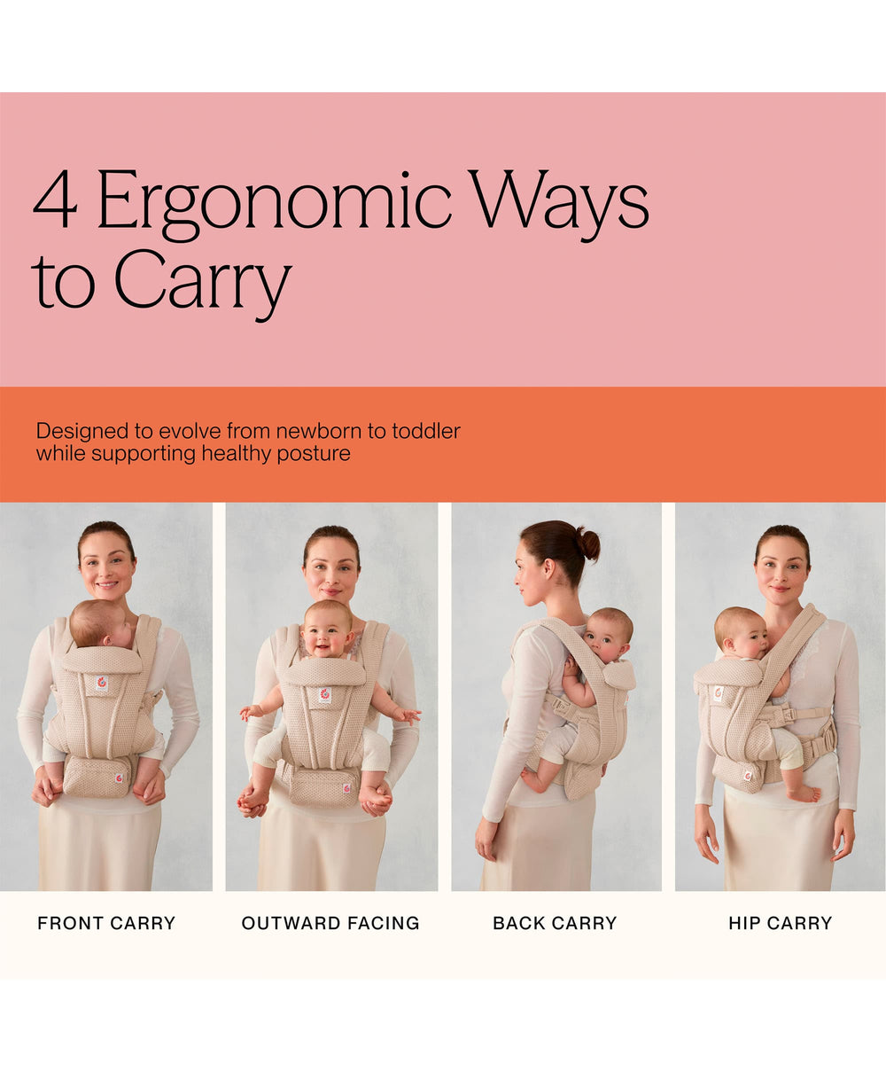 Ergobaby Baby Carriers Ergobaby Omni Deluxe Mesh Baby Carrier- Graphite Grey