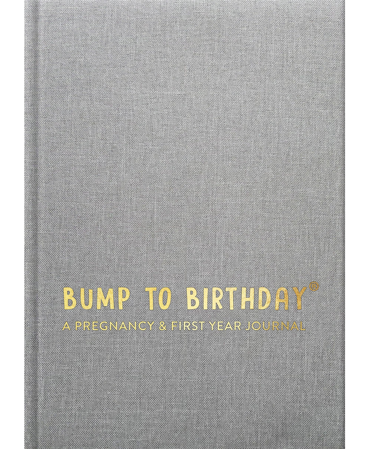 From You To Me Books From You To Me Bump to Birthday Journal