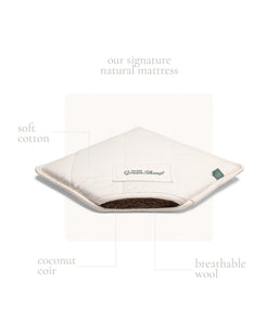 Little Green Sheep Moses Baskets Little Green Sheep Organic Knitted Moses Basket & Mattress - Truffle