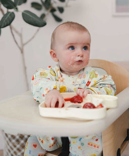 Loulou Lollipop Baby Weaning Loulou Lollipop Snack Plate - Lane LLama