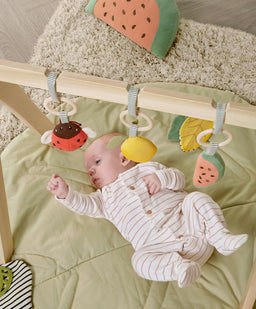 Mamas & Papas Activity Toys Wooden Play Arches - Safari