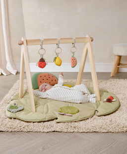 Mamas & Papas Activity Toys Wooden Play Arches - Safari