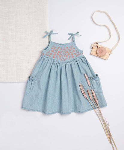 Mamas & Papas Dresses & Skirts Blue Chambray Embroidered Dress