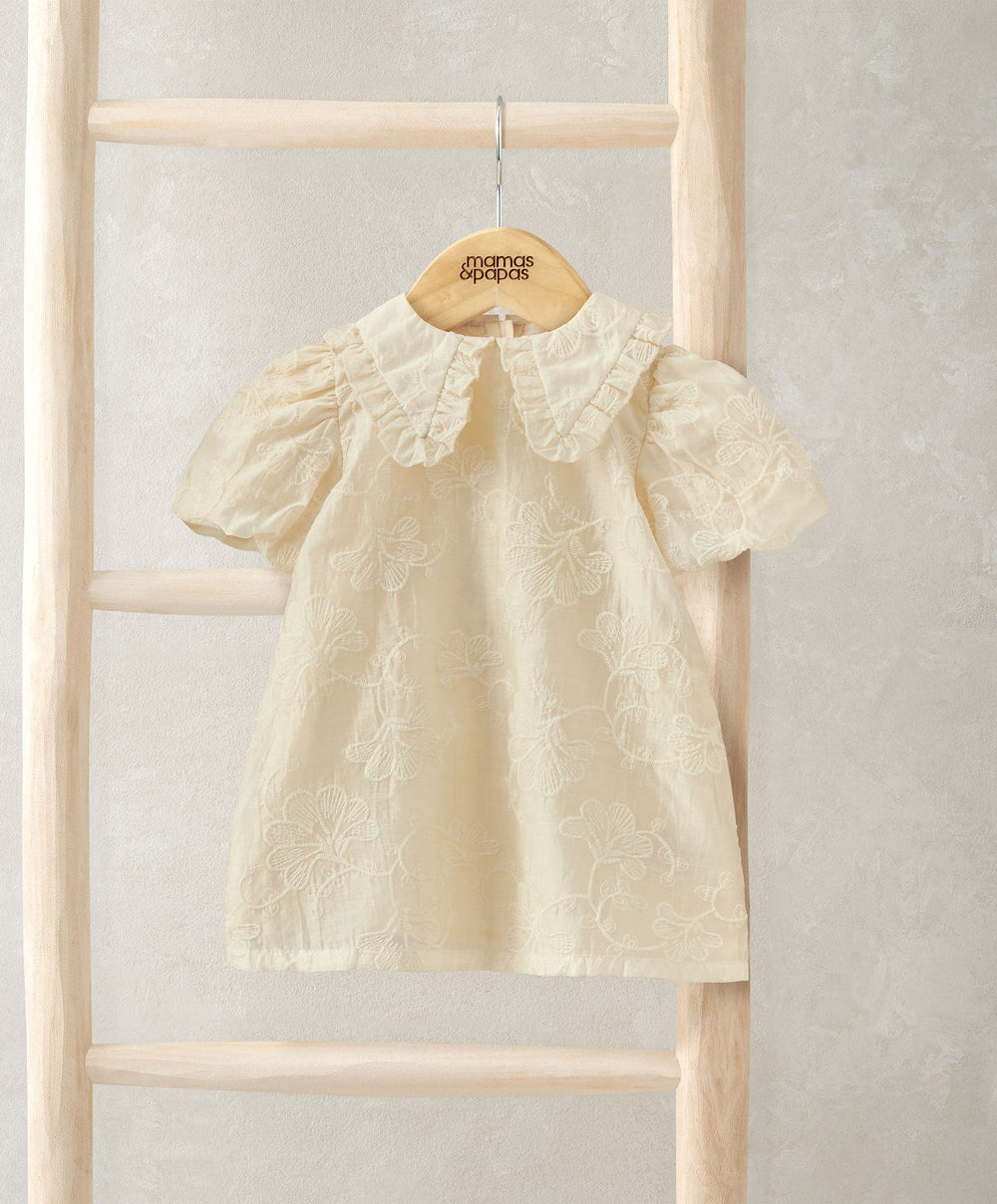 Mamas &amp; Papas Dresses &amp; Skirts Collared Dress