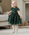 Mamas & Papas Dresses & Skirts Green Bow Mesh Embroidery Dress