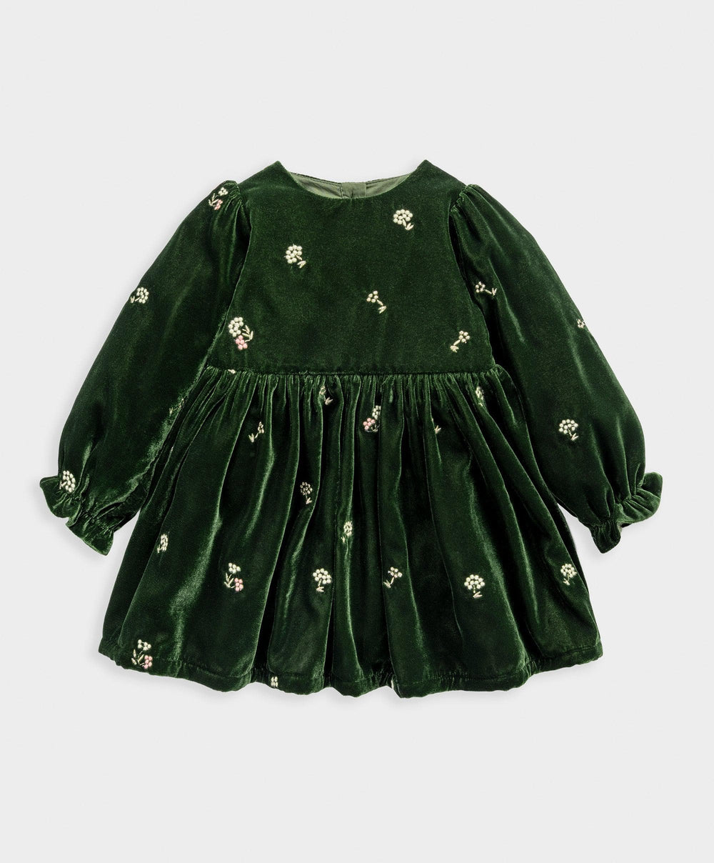 Mamas &amp; Papas Dresses &amp; Skirts Green Velvet Dress