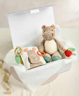 Mamas & Papas Gift Boxes Babyplay - Hippo & Book Gift Box