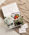 Mamas & Papas Gift Boxes Dinosaur Bathtime Gift Box