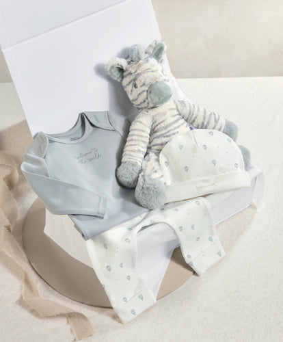 Mamas & Papas Gift Boxes Zebra Giftbox - Medium