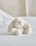 Small Soft Toy - Grey Bunny