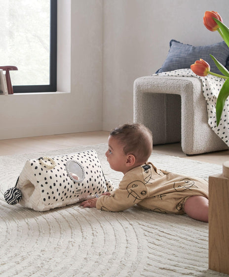Monochrome Activity Triangle Toy
