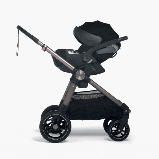 Mamas & best sale papas ocarro carrycot