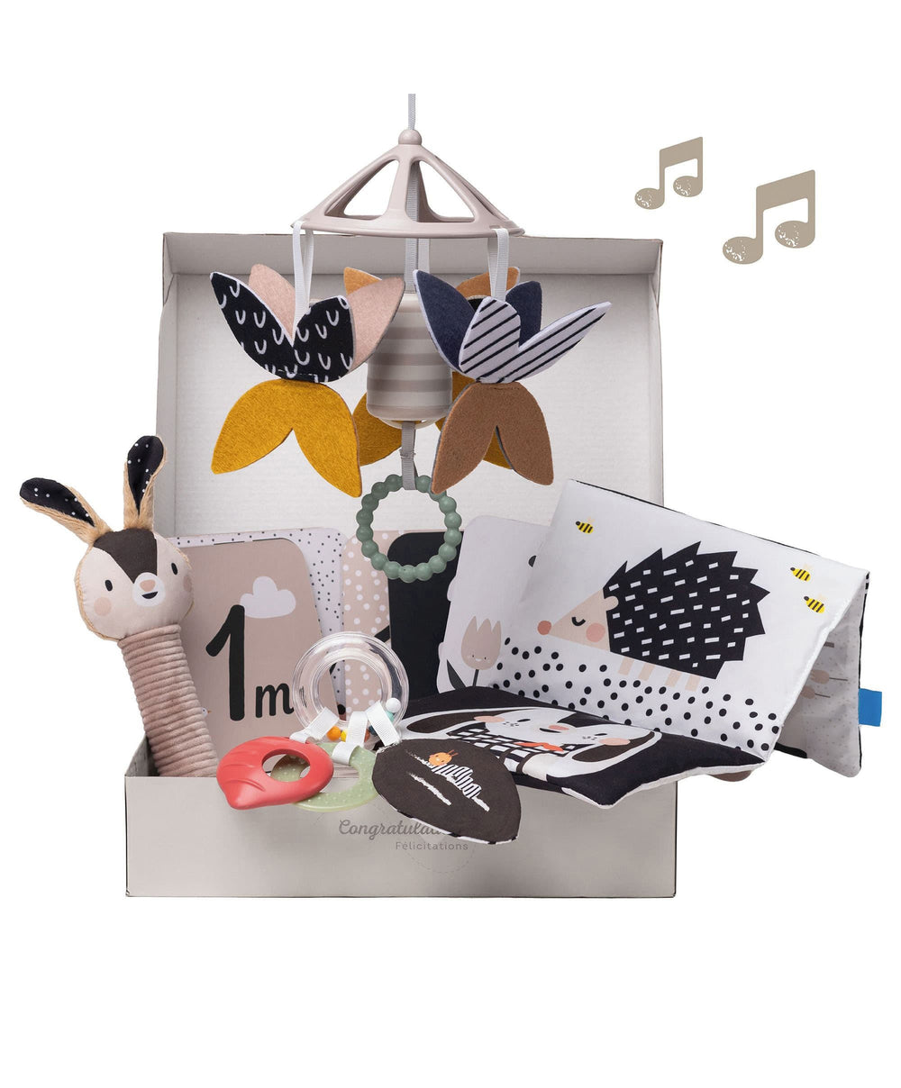 Taf Toys Gift Boxes Taf Toys Black &amp; White Newborn Kit
