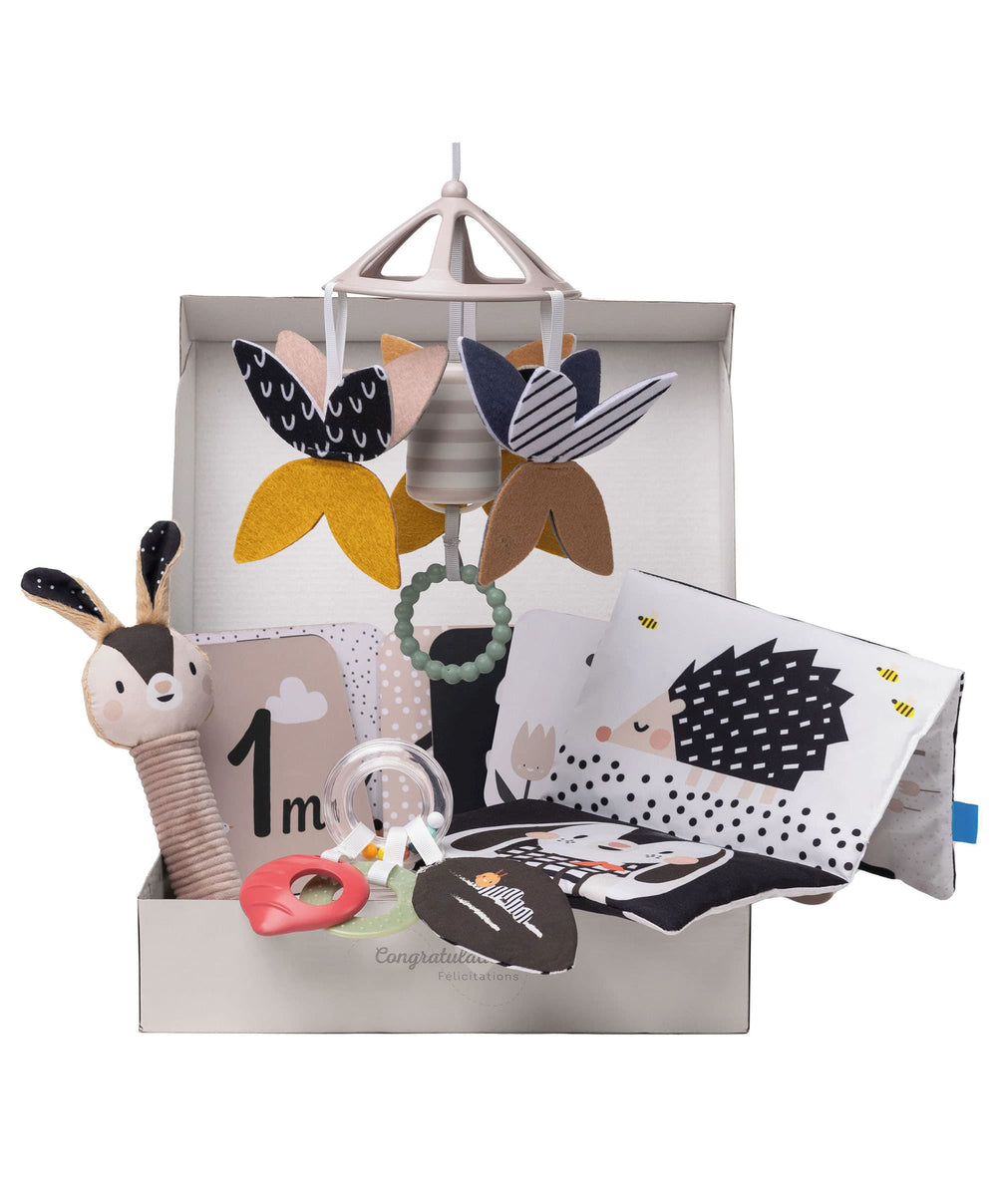 Taf Toys Gift Boxes Taf Toys Black &amp; White Newborn Kit