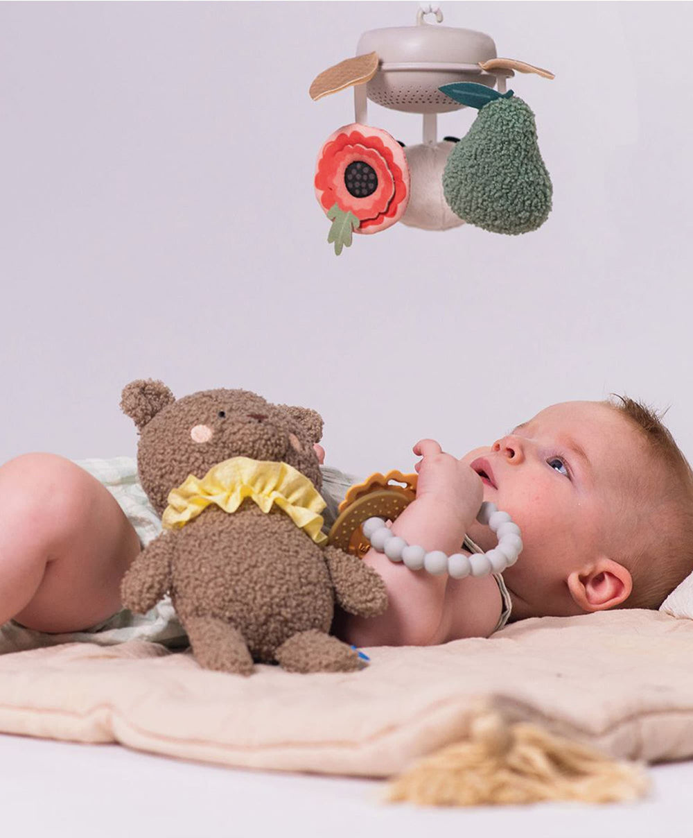 Taf Toys Gift Boxes Taf Toys Luxury Newborn Gift set