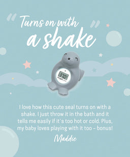 Angelcare Thermometers Angelcare Happy Seal Baby Bath & Room Thermometer - Grey