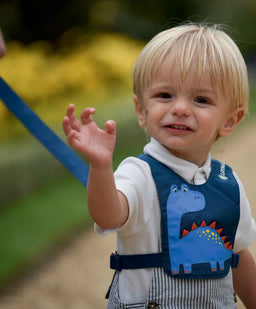 LittleLife Safety Reins LittleLife Toddler Reins - Dinosaur